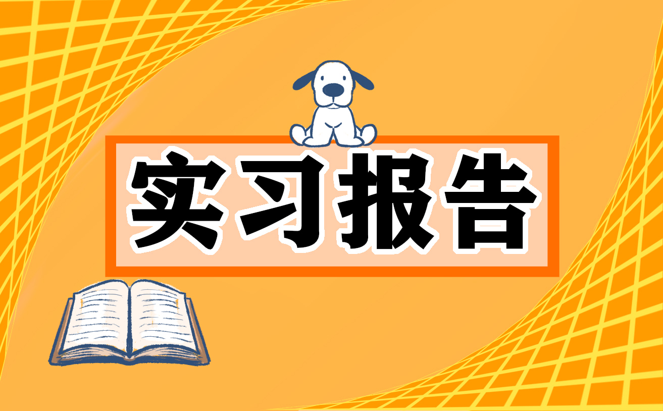 咨询实习报告5篇